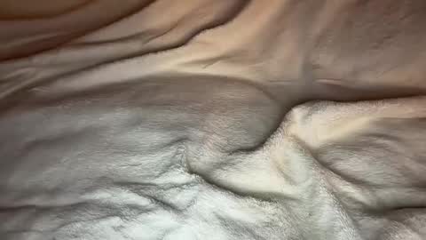 Snapshot of jamesdean0101 chatting on 01.14.26 jamesdean0101 online show from 01.14.26