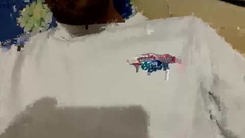 Snapshot of jamessandt chatting on 10.11.25 jamessandt online show from 10.11.25