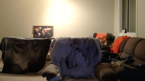 jameswolf777 online show from 12.22.25