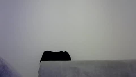 jaspal55 online show from 11.09.25