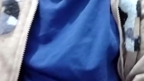 jasspreettt online show from 01.25.25