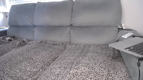 Javier  online show from 12.07.24