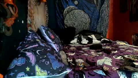 Snapshot of jax_skyfallin chatting on 02.12.25 jaxxx666 online show from 02.12.25