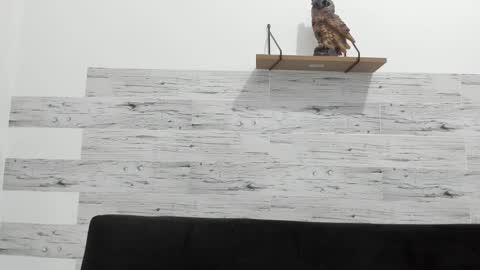 Jaycreedd online show from 02.11.25