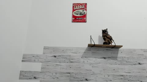 Jaycreedd online show from 02.23.25