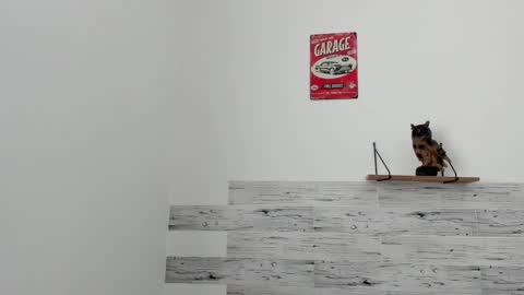 Jaycreedd online show from 03.07.25