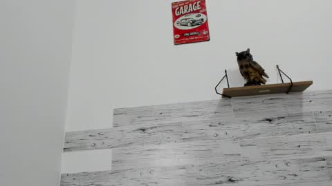 Jaycreedd online show from 10.12.25