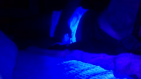 Jaysobricked online show from 02.07.25