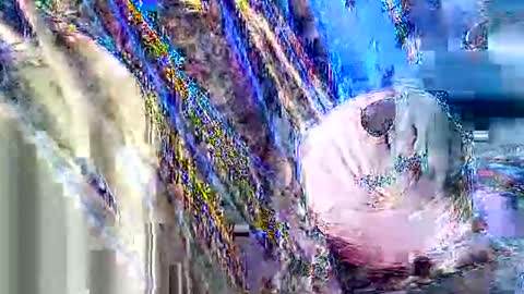 Snapshot of jcfoxx0920 chatting on 10.03.25 jcfoxx0920 online show from 10.03.25