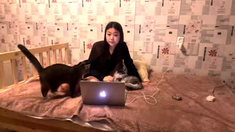 Snapshot of jeannettavidro chatting on 11.18.25 jeannettavidro online show from 11.18.25