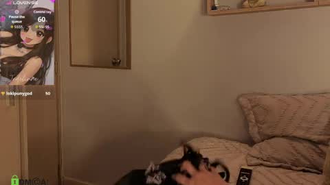 Jedelinne online show from 04.09.26