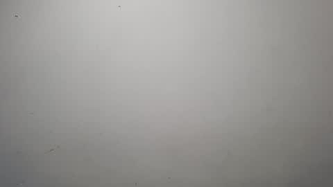 Snapshot of jeisonhoz chatting on 10.13.25 jeisonfit online show from 10.13.25