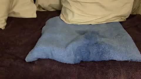 Jelli and Melli online show from 03.10.25