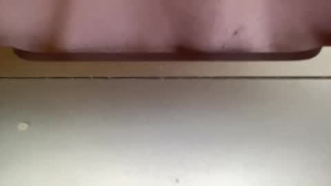 Snapshot of jerking1981 chatting on 12.25.24 jerking1981 online show from 12.25.24