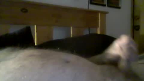 jerkmate6666 online show from 03.15.26