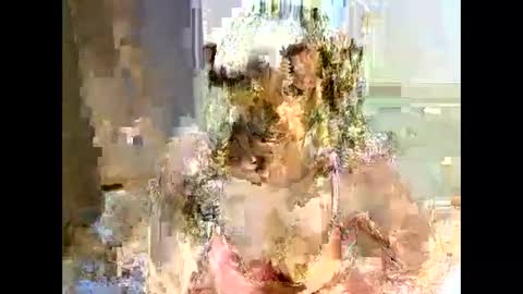 jessajoyy online show from 02.01.25