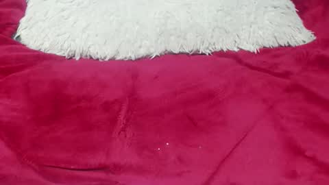 jessy online show from 11.25.25