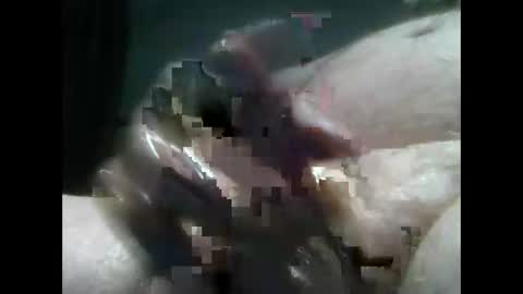 Snapshot of jimboluv488 chatting on 12.18.24 jimboluv488 online show from 12.18.24