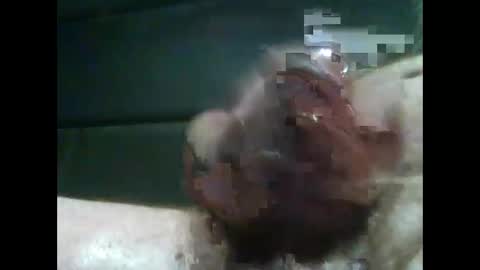 Snapshot of jimboluv488 chatting on 02.14.25 jimboluv488 online show from 02.14.25