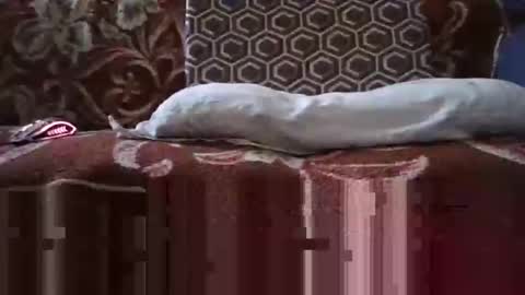 jimmyshelby12 online show from 01.25.25