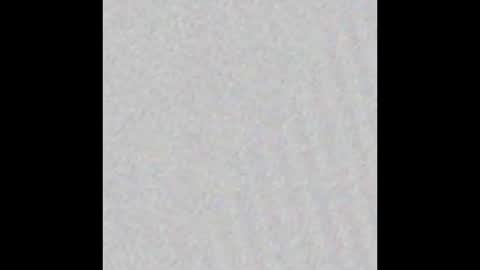 jinscreet online show from 02.20.25