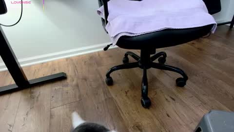 Nicole  Allen online show from 12.03.25