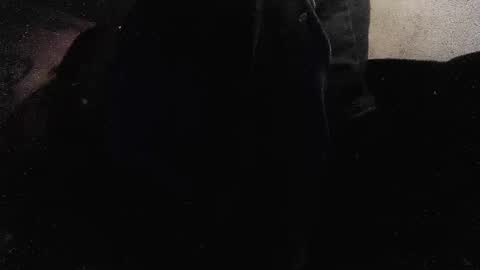 jjohnathan529 online show from 01.26.25