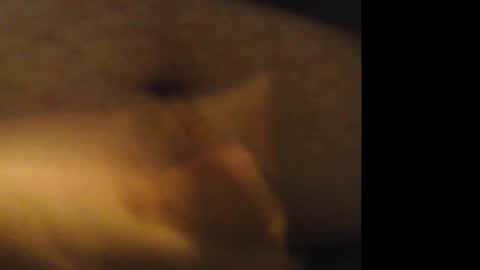 Snapshot of jkburrows035 chatting on 02.21.26 firejoepro2 online show from 02.21.26