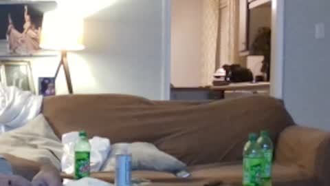 jkelly92081bean online show from 10.05.25