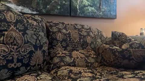 jlk7777 online show from 02.10.26