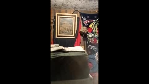 jo575838 online show from 04.13.26