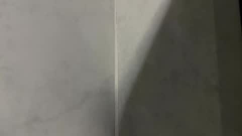 Snapshot of joansilva_ chatting on 01.05.25 Joan Silva online show from 01.05.25