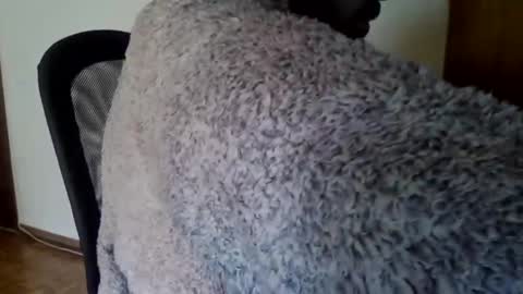 Snapshot of joaodias_18 chatting on 12.13.24 joaodias_18 online show from 12.13.24