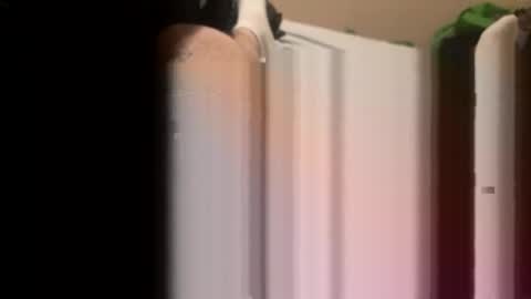 Snapshot of jocmyv9wokry chatting on 02.20.26 jocmyv9wokry online show from 02.20.26