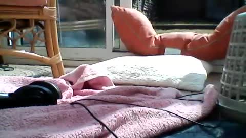 Snapshot of joes8888 chatting on 07.21.26 Joe online show from 07.21.26