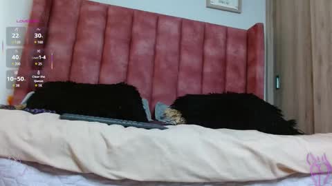 Jolie Mara  online show from 03.03.25