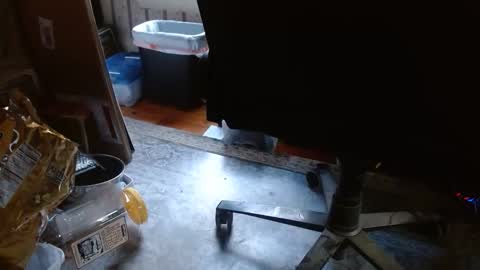 joncpics online show from 11.06.25