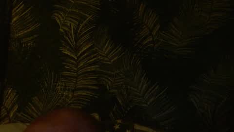 Snapshot of joohnoff chatting on 01.22.25 John online show from 01.22.25