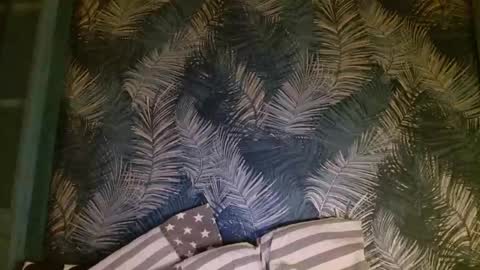 Snapshot of joohnoff chatting on 01.24.25 John online show from 01.24.25