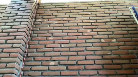 Snapshot of jorger577268 chatting on 02.09.25 JorgeMAXX online show from 02.09.25