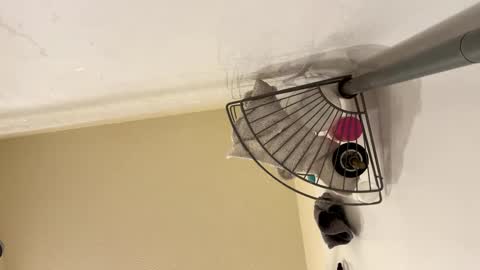 sissy josphine online show from 02.15.25