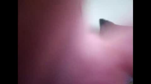 joshinterchecks online show from 02.25.26