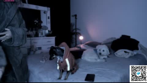 Snapshot of jossephine_ chatting on 01.21.25 josephine independent model online show from 01.21.25