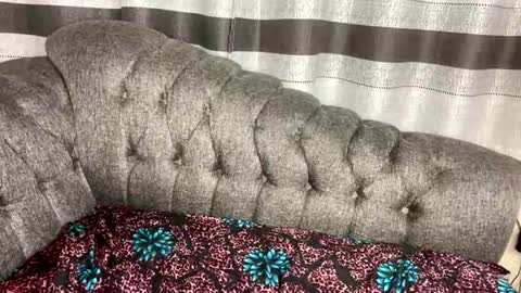 Snapshot of joyslim1 chatting on 03.04.26 Butterflyass online show from 03.04.26