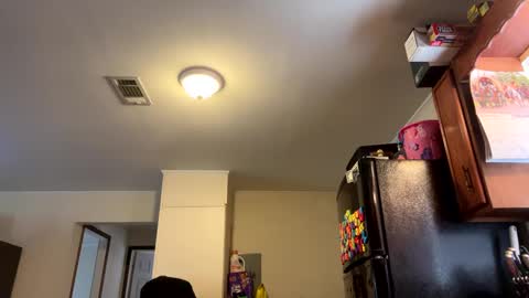 Snapshot of jr_is_back chatting on 02.27.25 Assholelover online show from 02.27.25