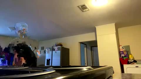 Snapshot of jr_is_back chatting on 02.28.25 Assholelover online show from 02.28.25