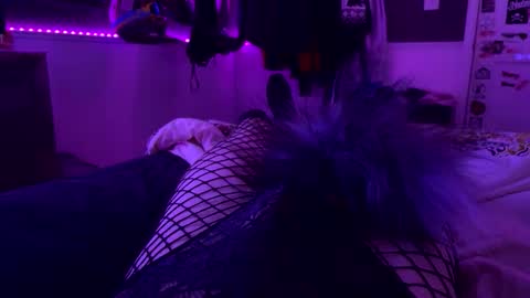 jrod11229 online show from 10.24.25