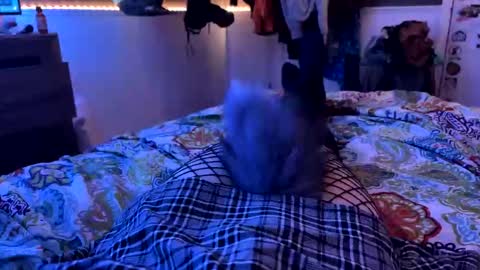 jrod11229 online show from 10.27.25