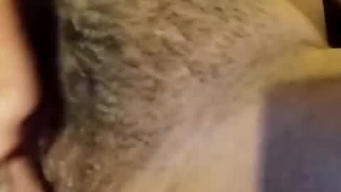 jsjsjdjsjjdx online show from 01.09.26