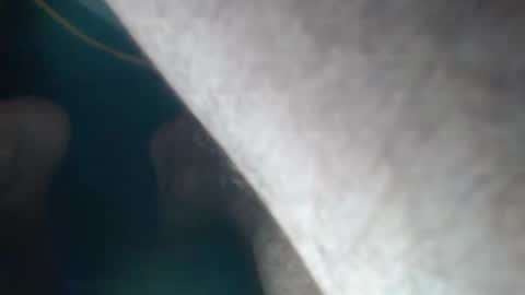 Snapshot of jsmith101410 chatting on 09.23.25 FreshNess online show from 09.23.25
